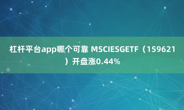 杠杆平台app哪个可靠 MSCIESGETF（159621）开盘涨0.44%